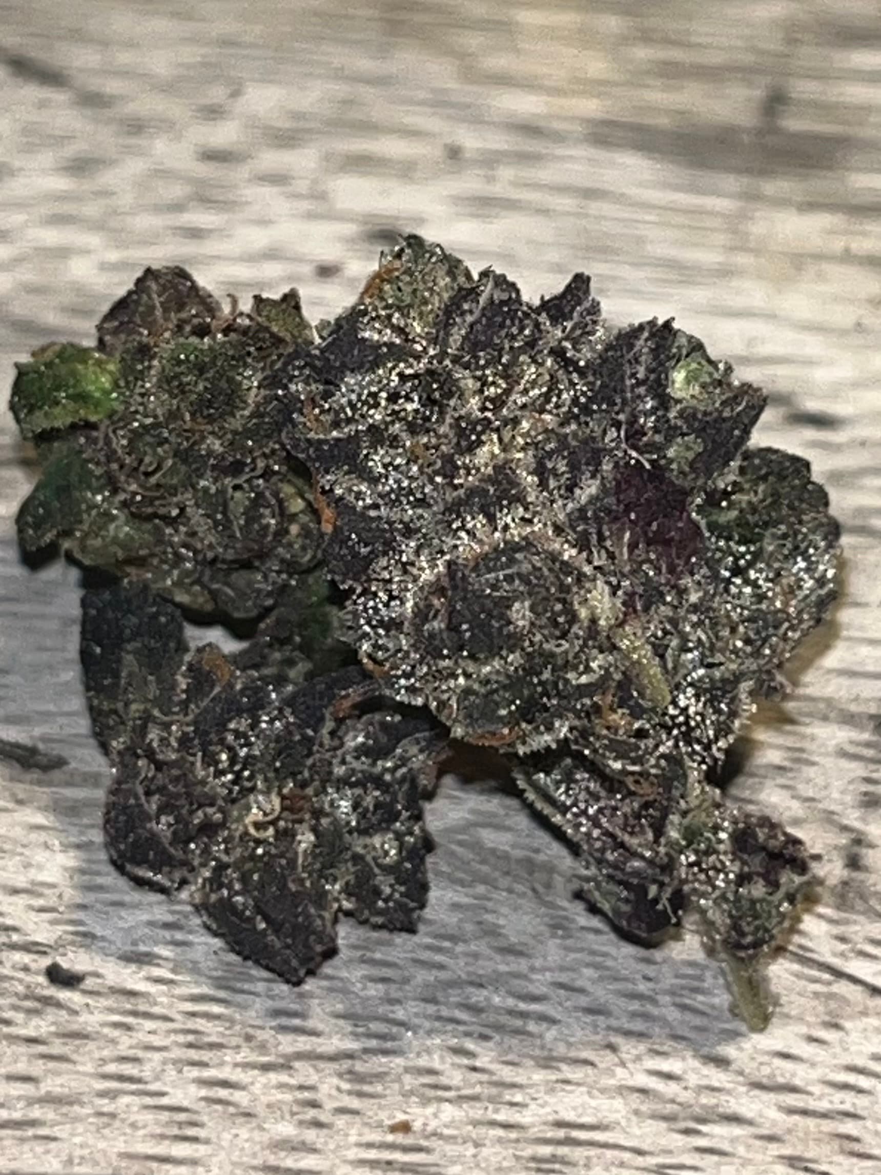 Blueberry wiet experiment strain