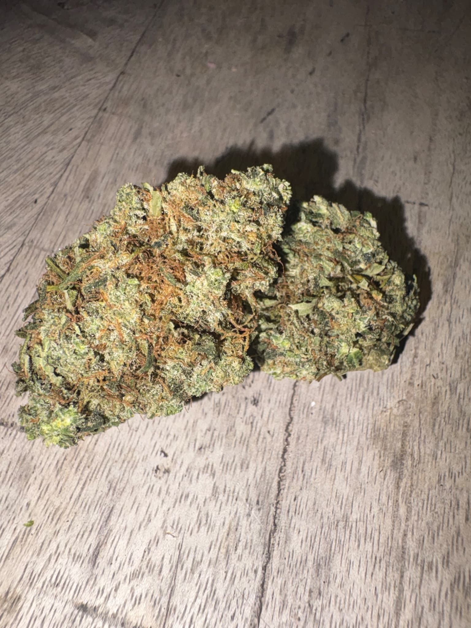 Mexican Haze weed experiment bud โ THC 23%