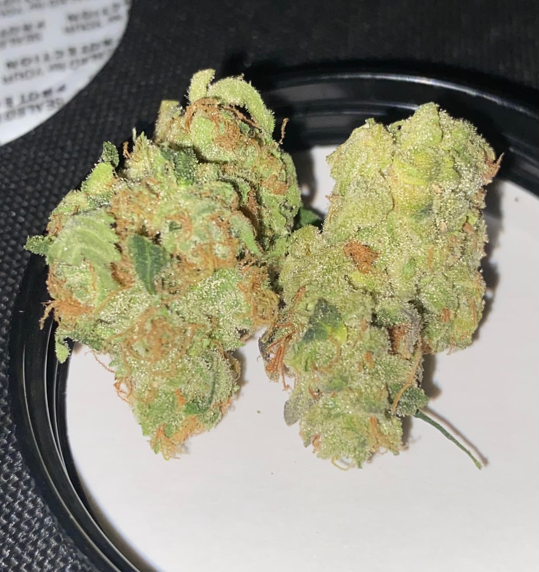 BIO Fruity Slurpee wiet experiment strain