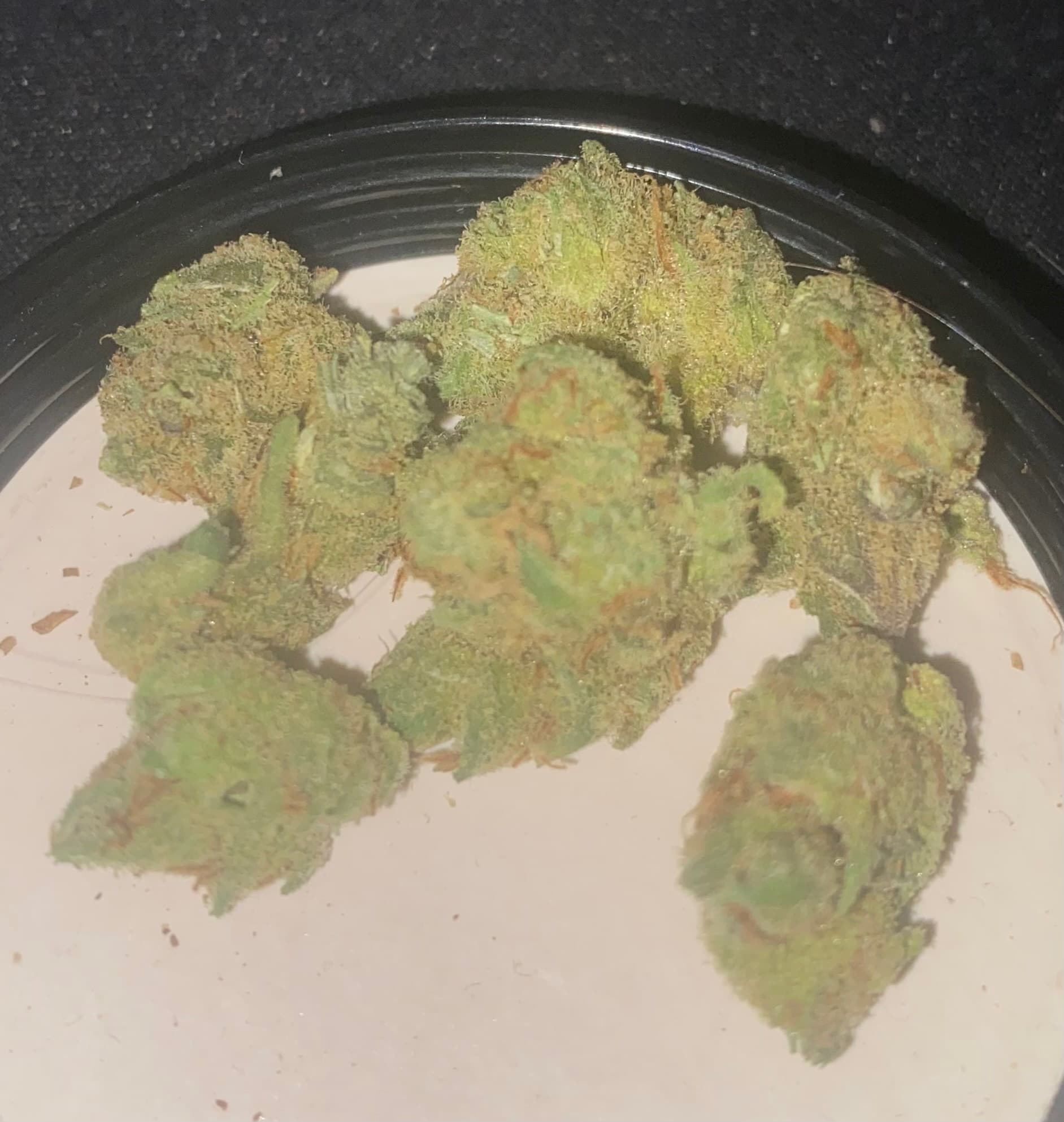Amnesia Mac Ganja wiet experiment strain