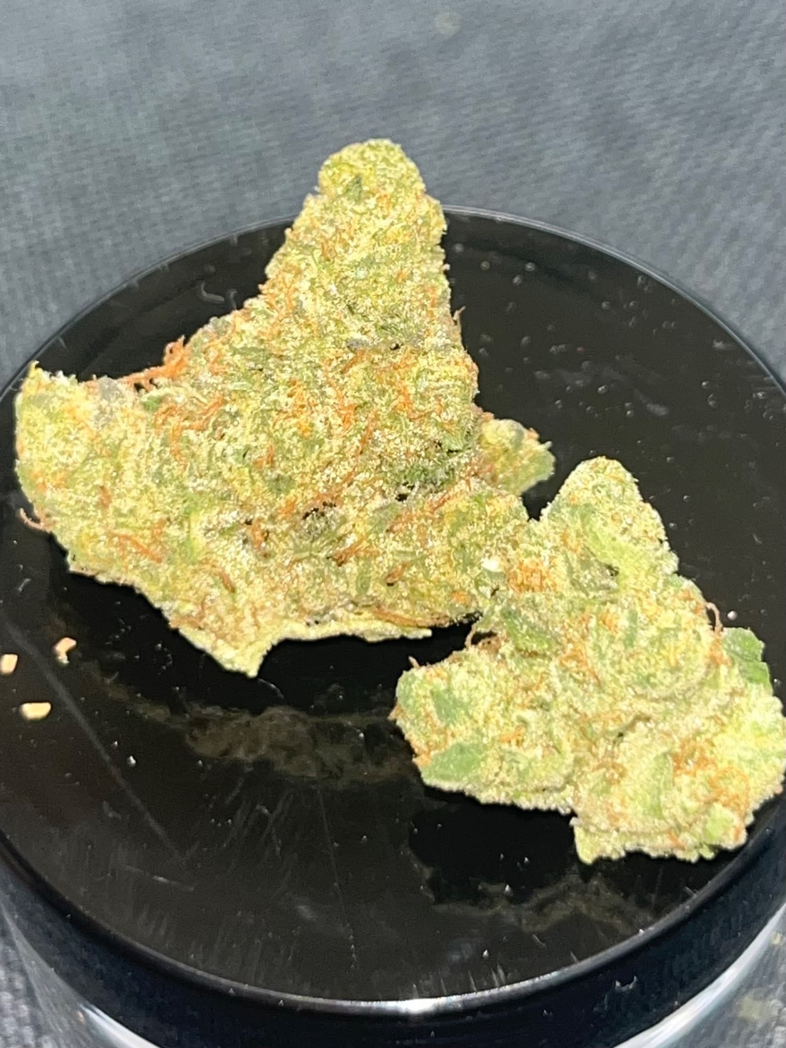 Original Diesel wiet experiment strain