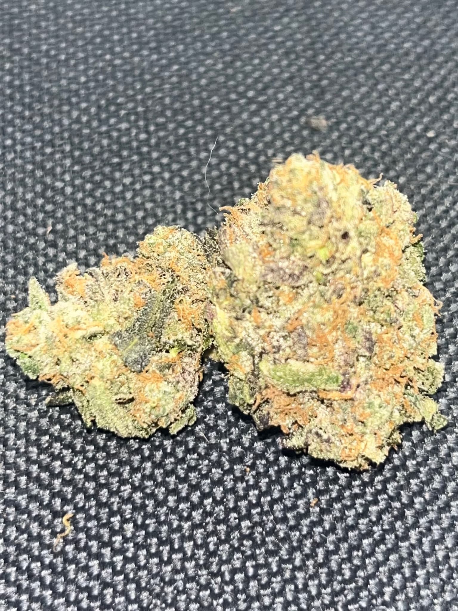 GMO Cookies wiet experiment strain