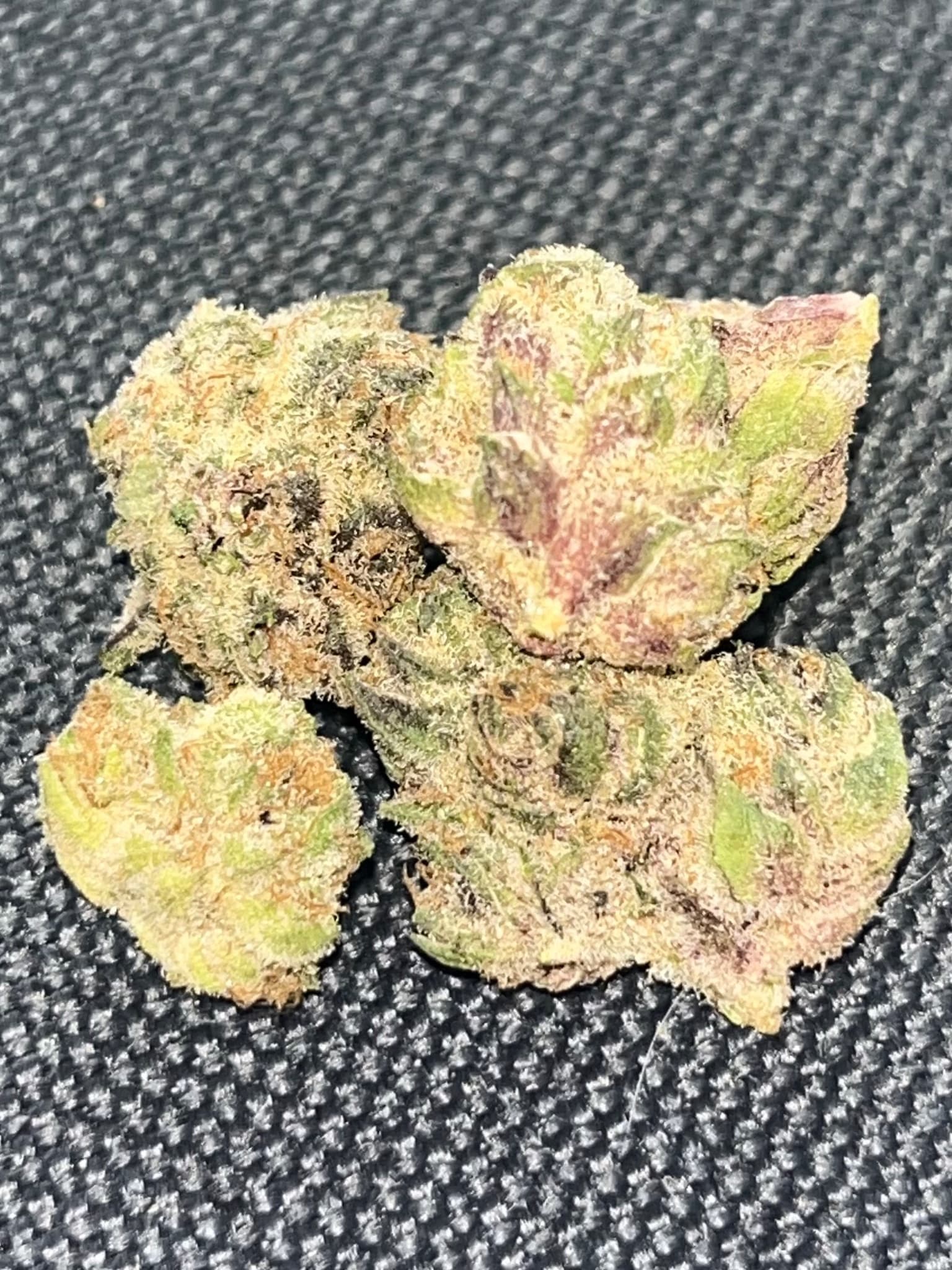 Sub Zero wiet experiment strain
