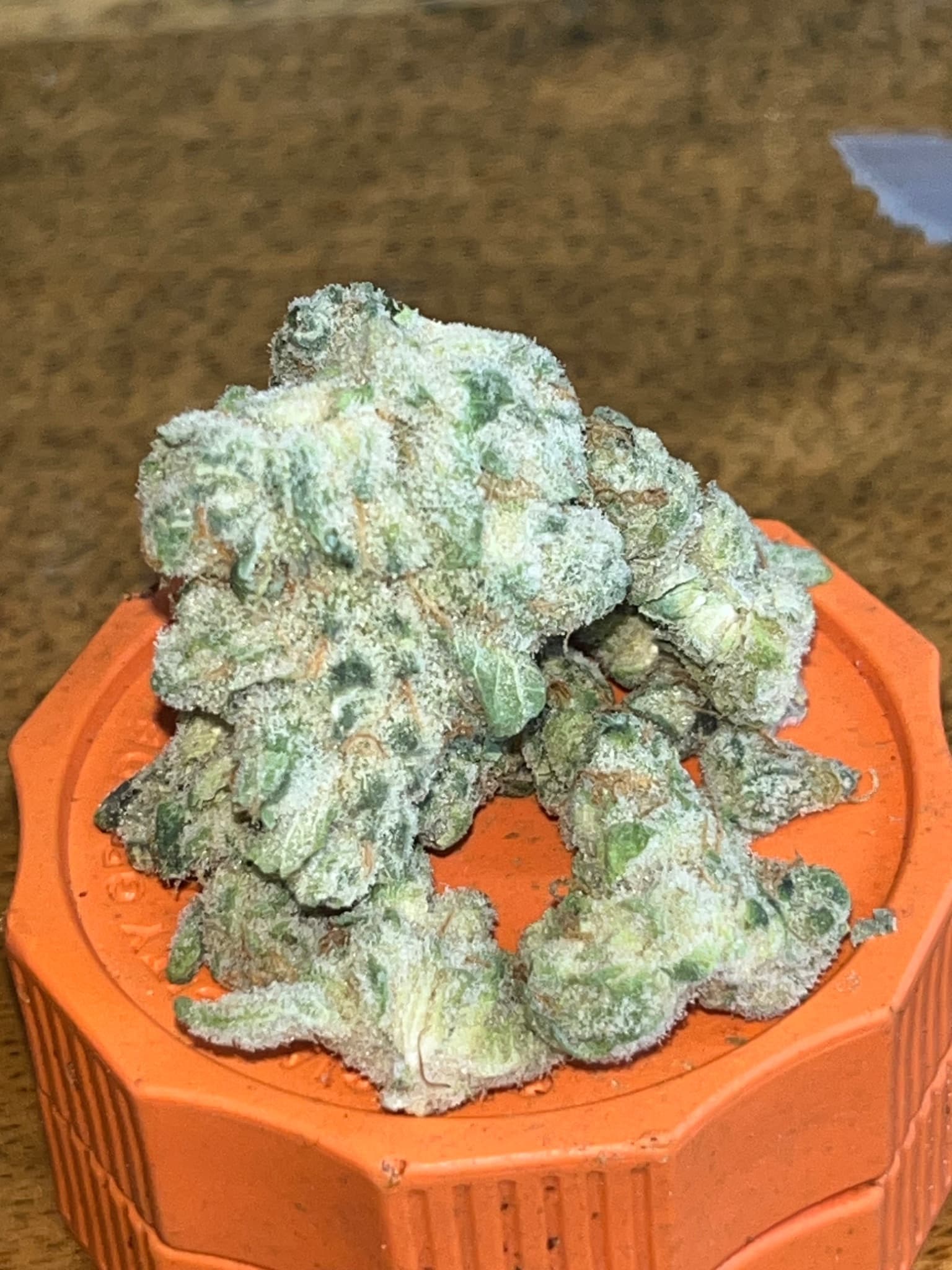 Skunk X Animal Mints wiet experiment strain