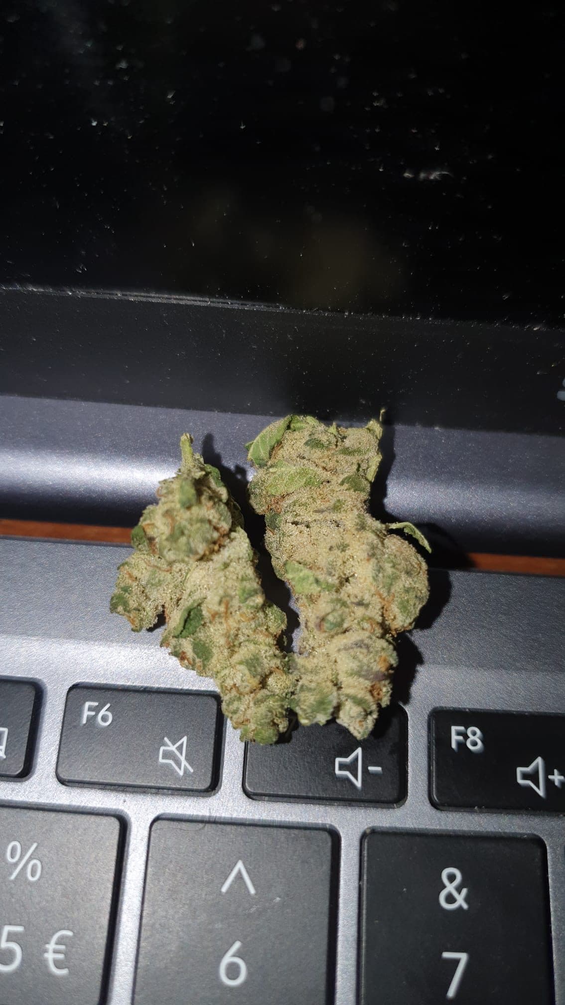 COG Selection Hybrid wiet experiment strain