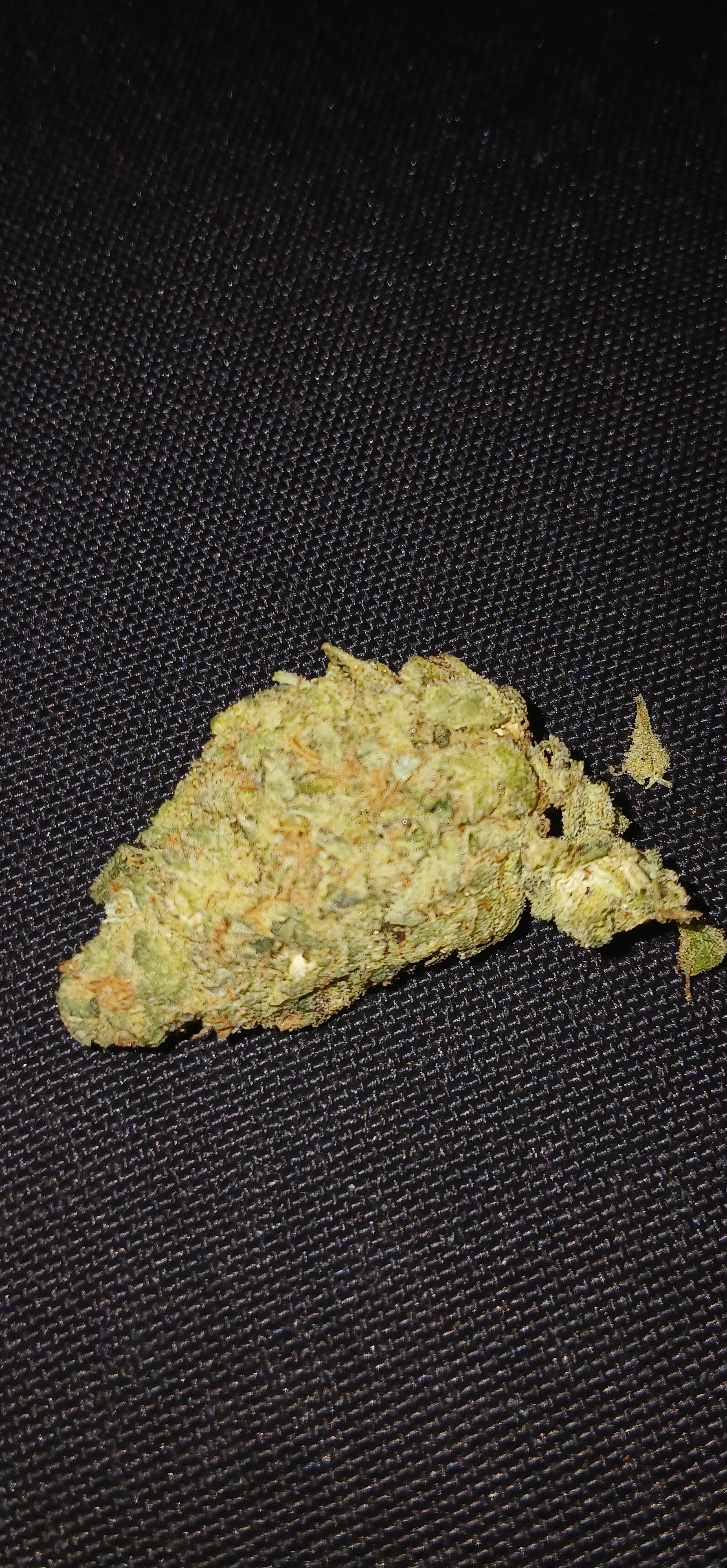 Sumo Mix weed experiment bud โ THC 29%
